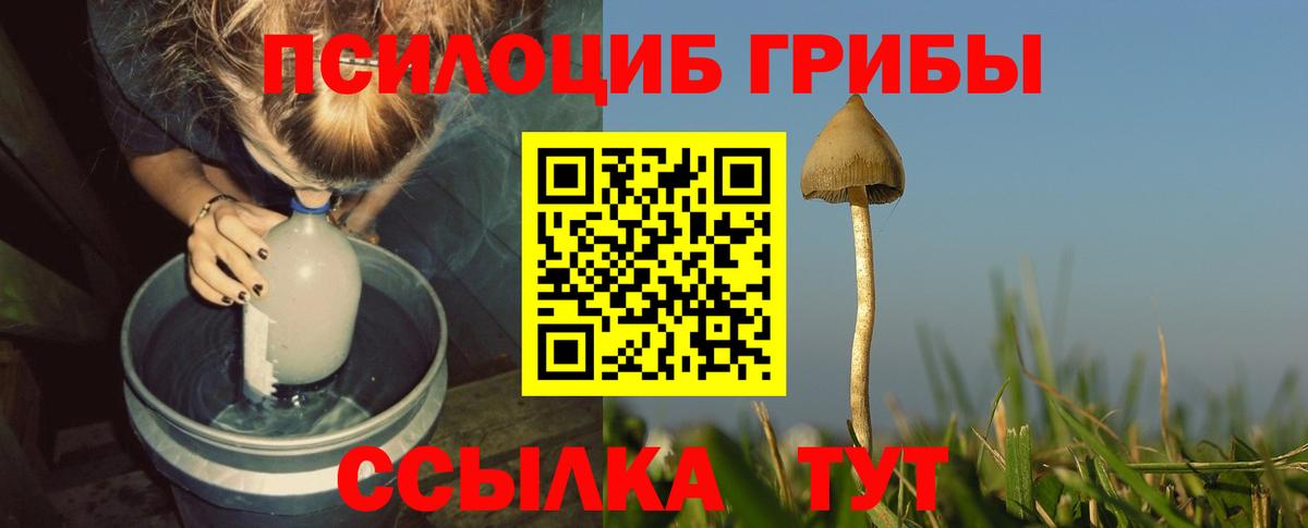 Кушва  Галлюциногенные грибы Cubensis  Псилоцибиновые грибы Cubensis  Вход с VPN 